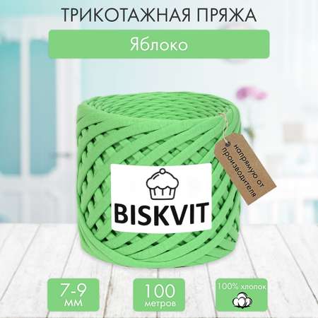 Трикотажная пряжа BISKVIT Яблоко