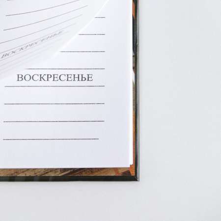 Ежедневник Mr. PRESIDENT PUTIN TEAM 50 лист.