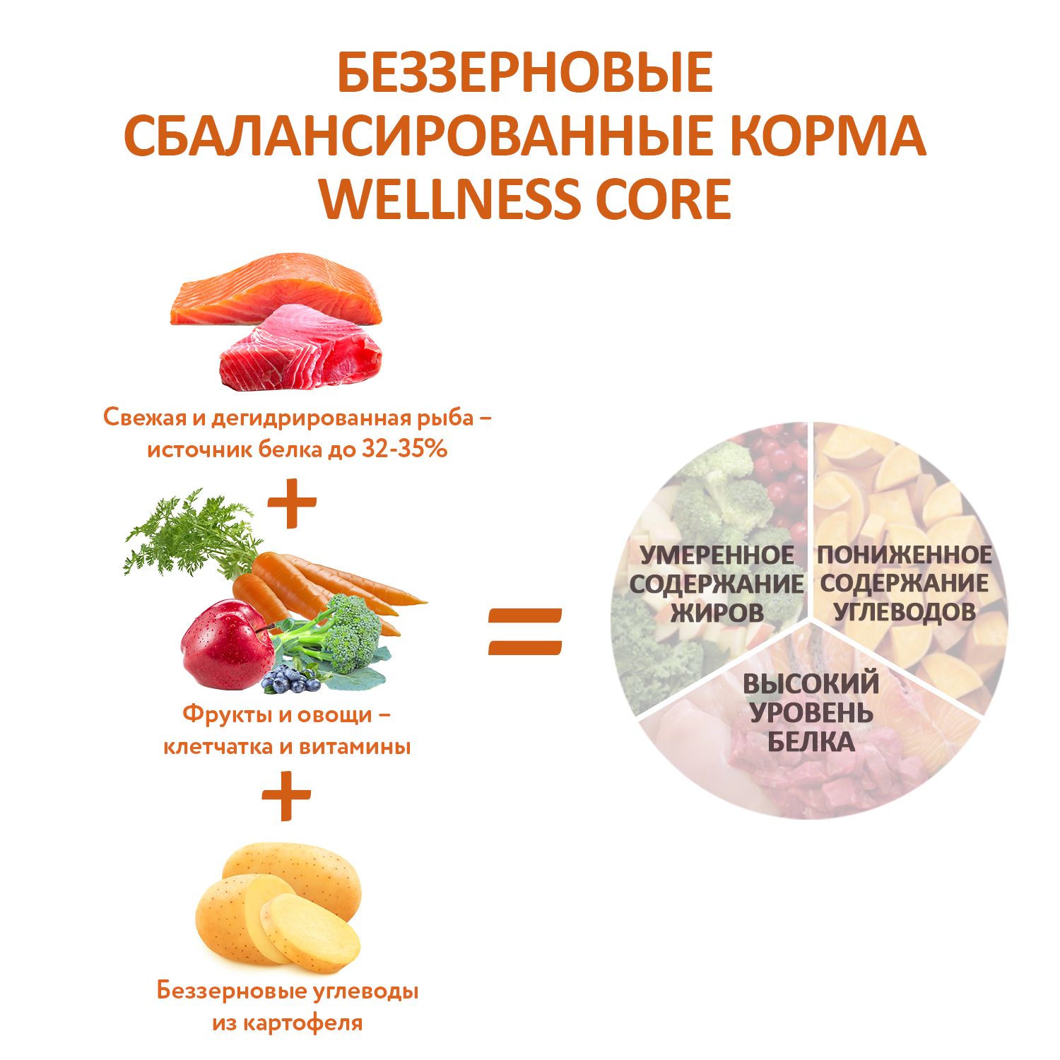 Сухой корм для собак Wellness CORE 1.8 кг лосось, тунец (для домашних, полнорационный) - фото 7