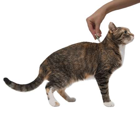Капли для кошек Elanco Профендер от 0.5 до 2.5кг антигельминтик 2пипетки