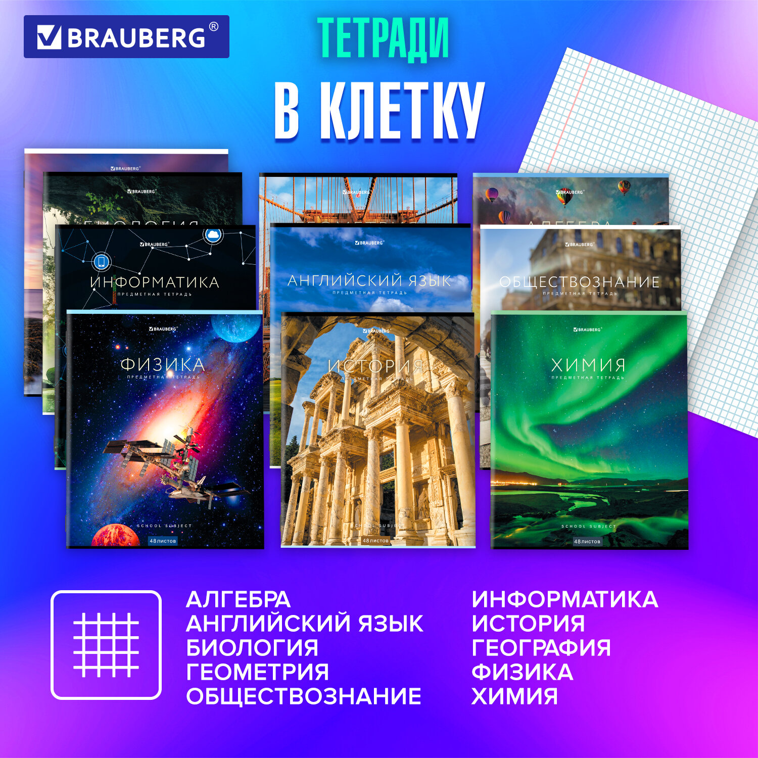 Тетради предметные Brauberg школьные со справочным материалом в клетку и линейку 12 Предметов 48 листов - фото 2