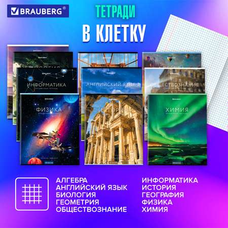 Тетради предметные Brauberg школьные со справочным материалом в клетку и линейку 12 Предметов 48 листов