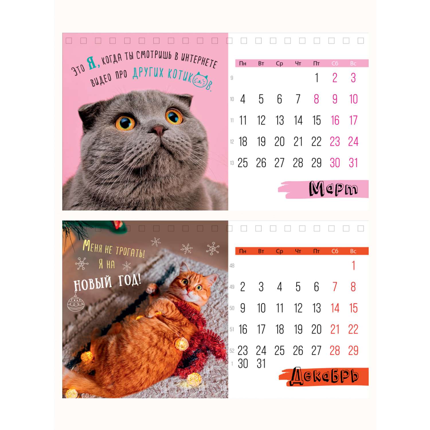 Настольный календарь (домик) «Кот Саймона» 2021