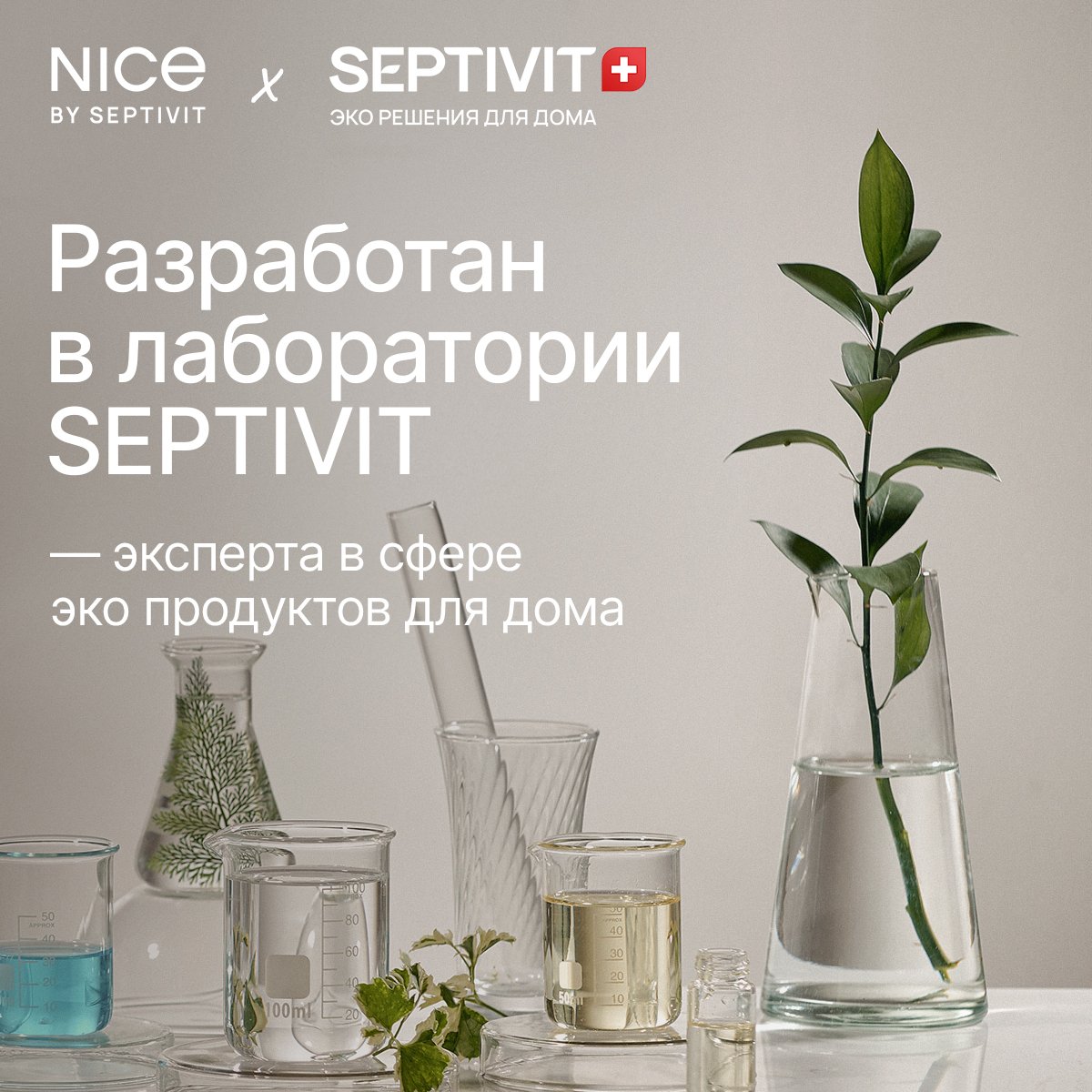 Гель для мытья посуды NICE by Septivit NICE Зеленый чай 5л купить по цене  849 ₽ в интернет-магазине Детский мир