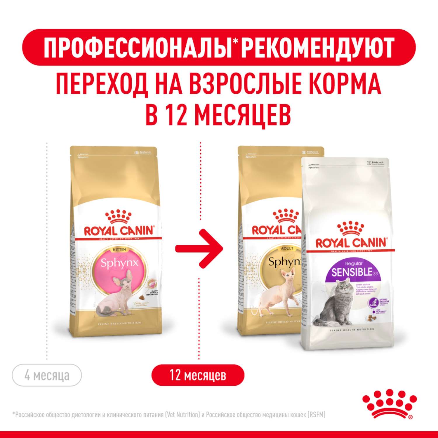 Корм сухой для котят ROYAL CANIN Kitten Sphynx 2кг