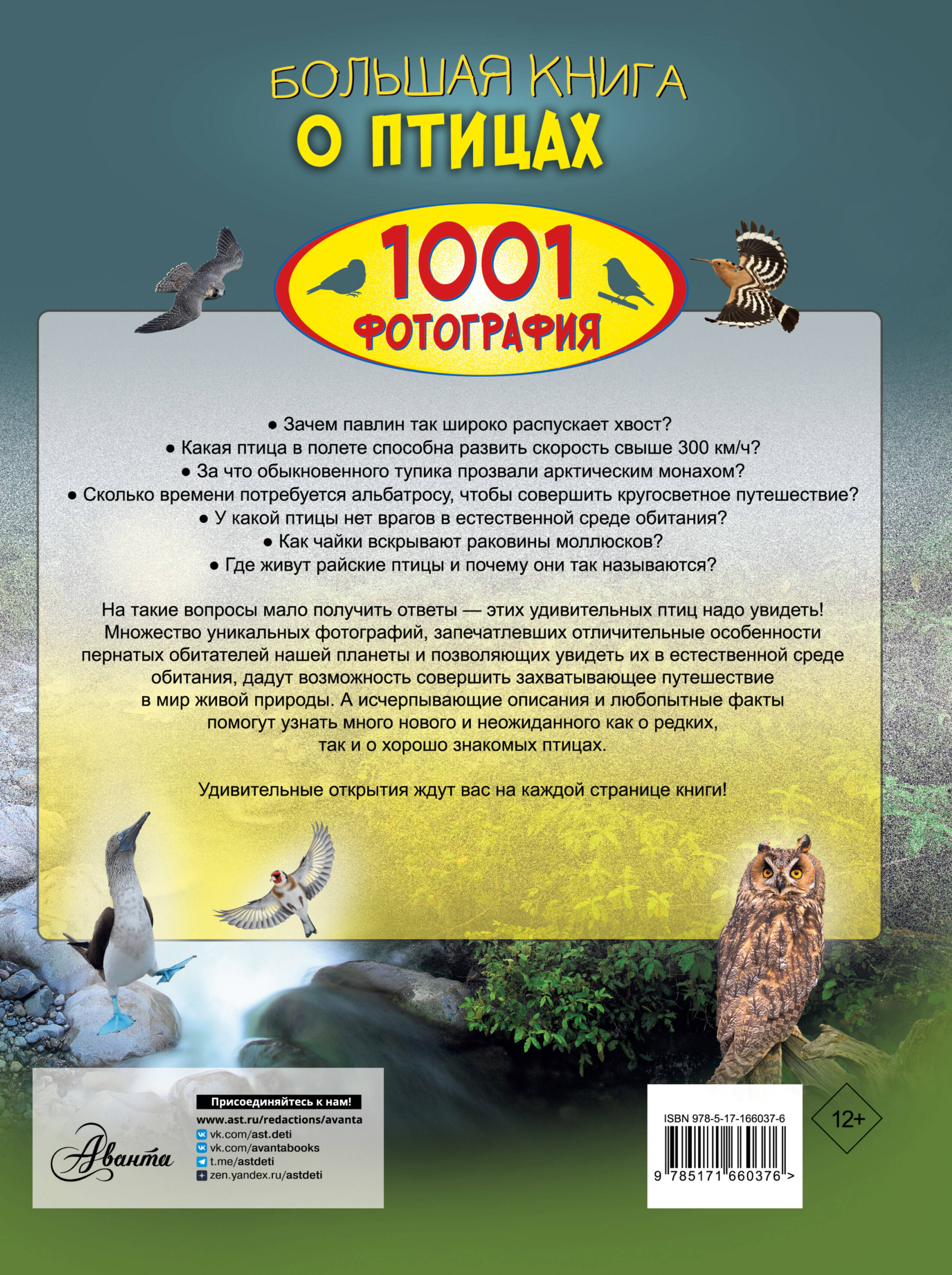 Книга АСТ Большая книга о птицах. 1001 фотография - фото 3