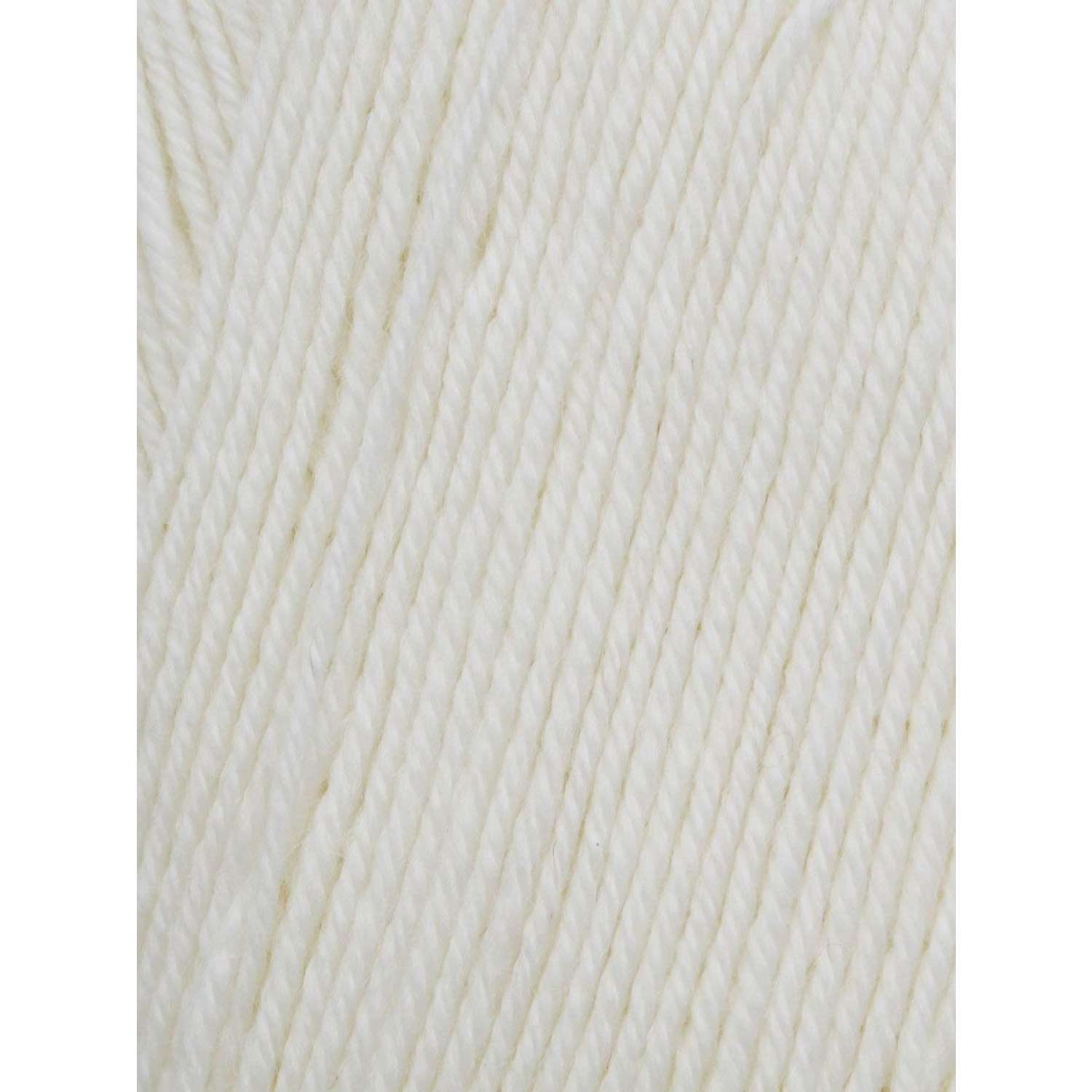 Пряжа Astra Premium Афродита полушерстяная 100 г 250 м 01 16 белый 3 мотка - фото 3