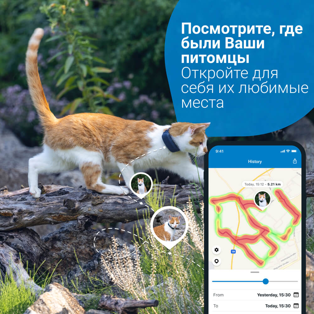 Трекер для кошек Tractive GPS Cat 4 LTE купить по цене 6999 ₽ с доставкой в  Москве и России, отзывы, фото