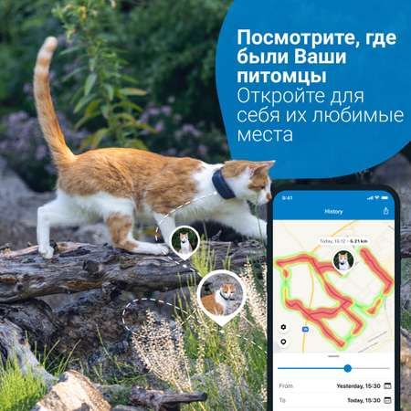 Трекер для кошек Tractive GPS Cat 4 LTE