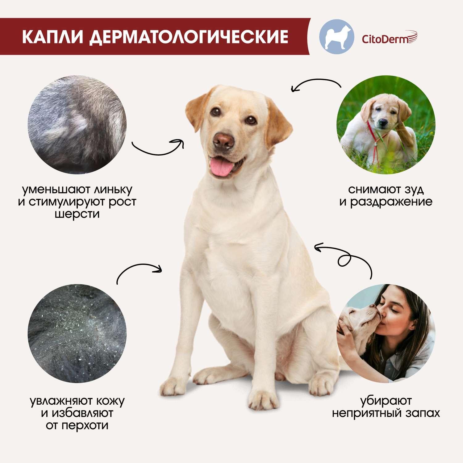 Капли для собак CitoDerm 30-60кг дерматологические 6мл - фото 3