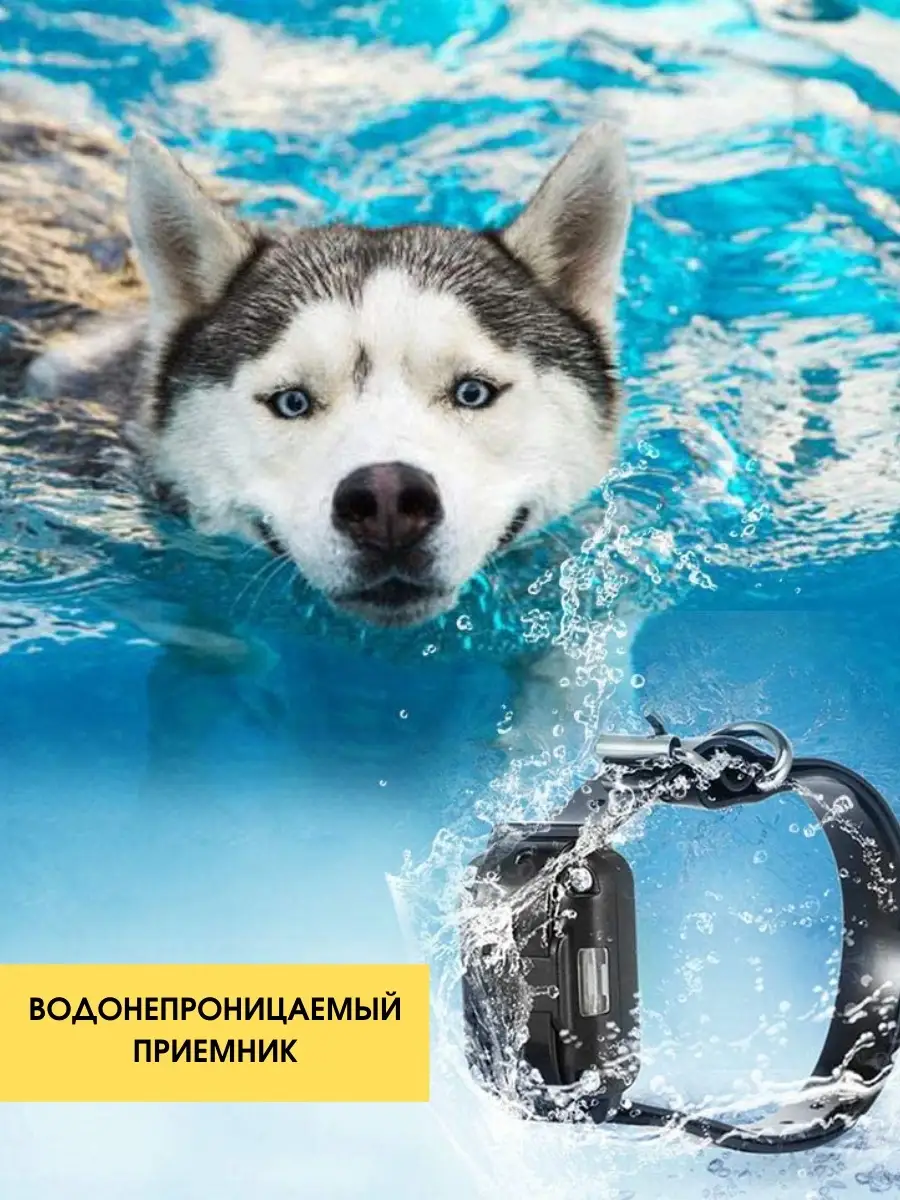 Ошейник для собак SuperPets электронный дрессировочный - фото 6