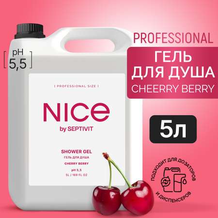 Гель для душа NICE by Septivit Cherry berry 5л