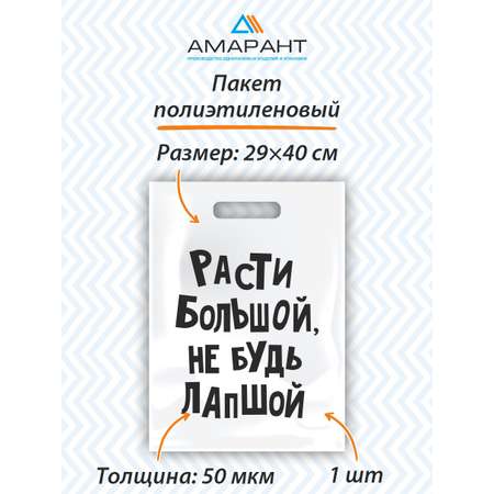 Пакет Амарант подарочный Расти большой не будь лапшой 1 шт