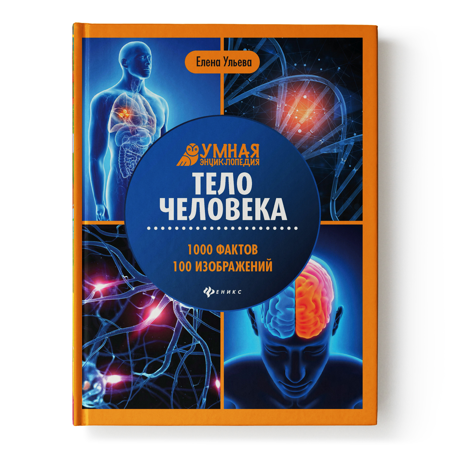 Книга Феникс Тело человека Умная энциклопедия - фото 1