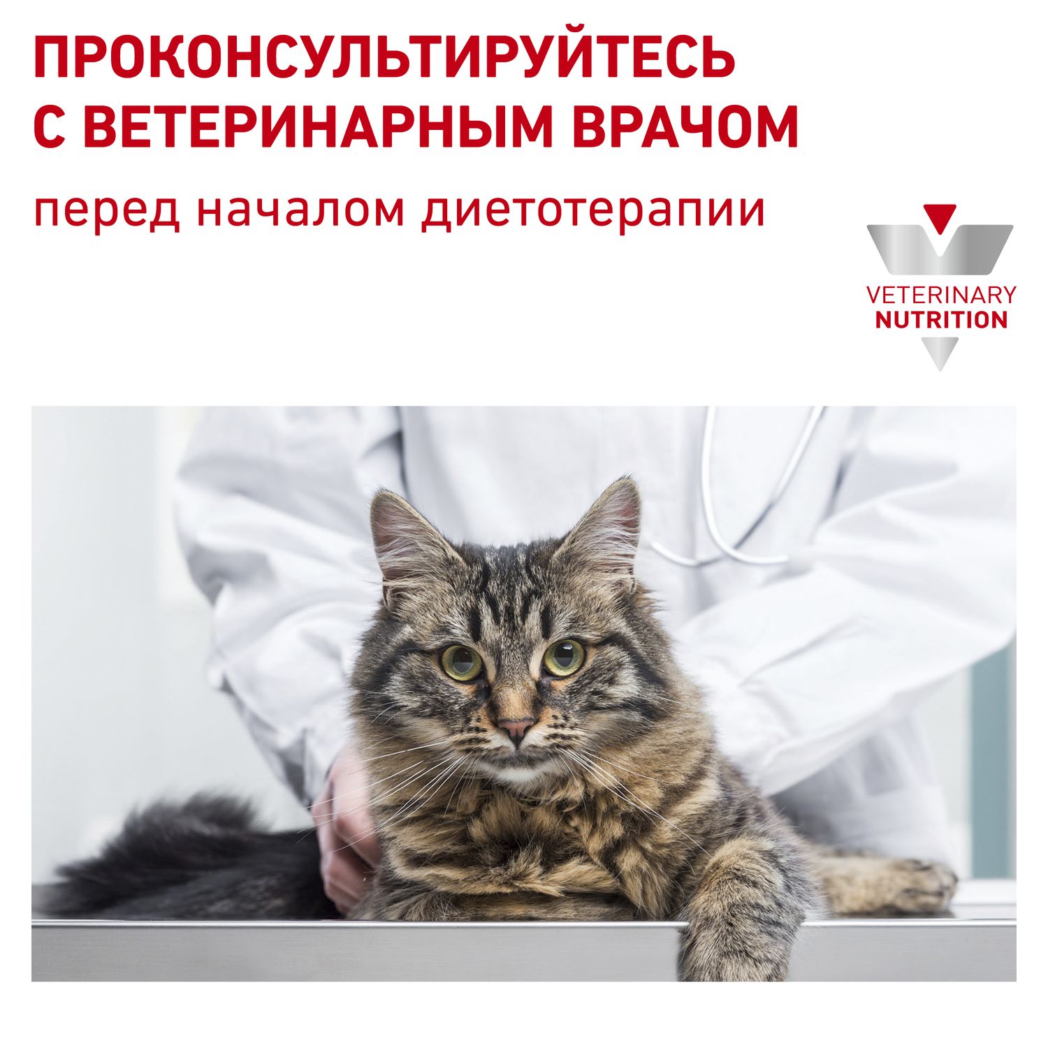 Корм для кошек ROYAL CANIN Veterinary Diet Urinary S/O LP34 Лечение и профилактика МКБ 1.5кг - фото 8