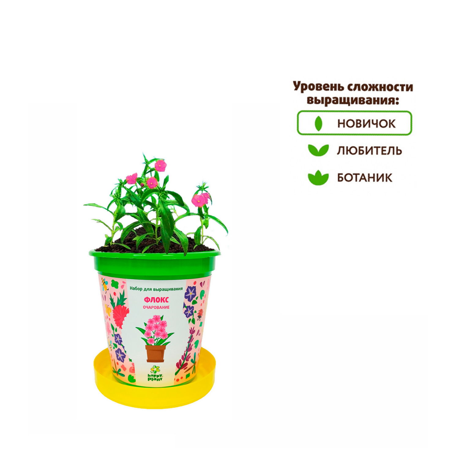 Набор для выращивания Happy Plant Вырасти сам растение в горшочке Флокс  очарование купить по цене 335 ₽ в интернет-магазине Детский мир