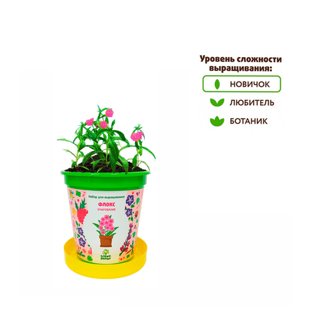 Набор для выращивания Happy Plant Вырасти сам растение в горшочке Флокс очарование