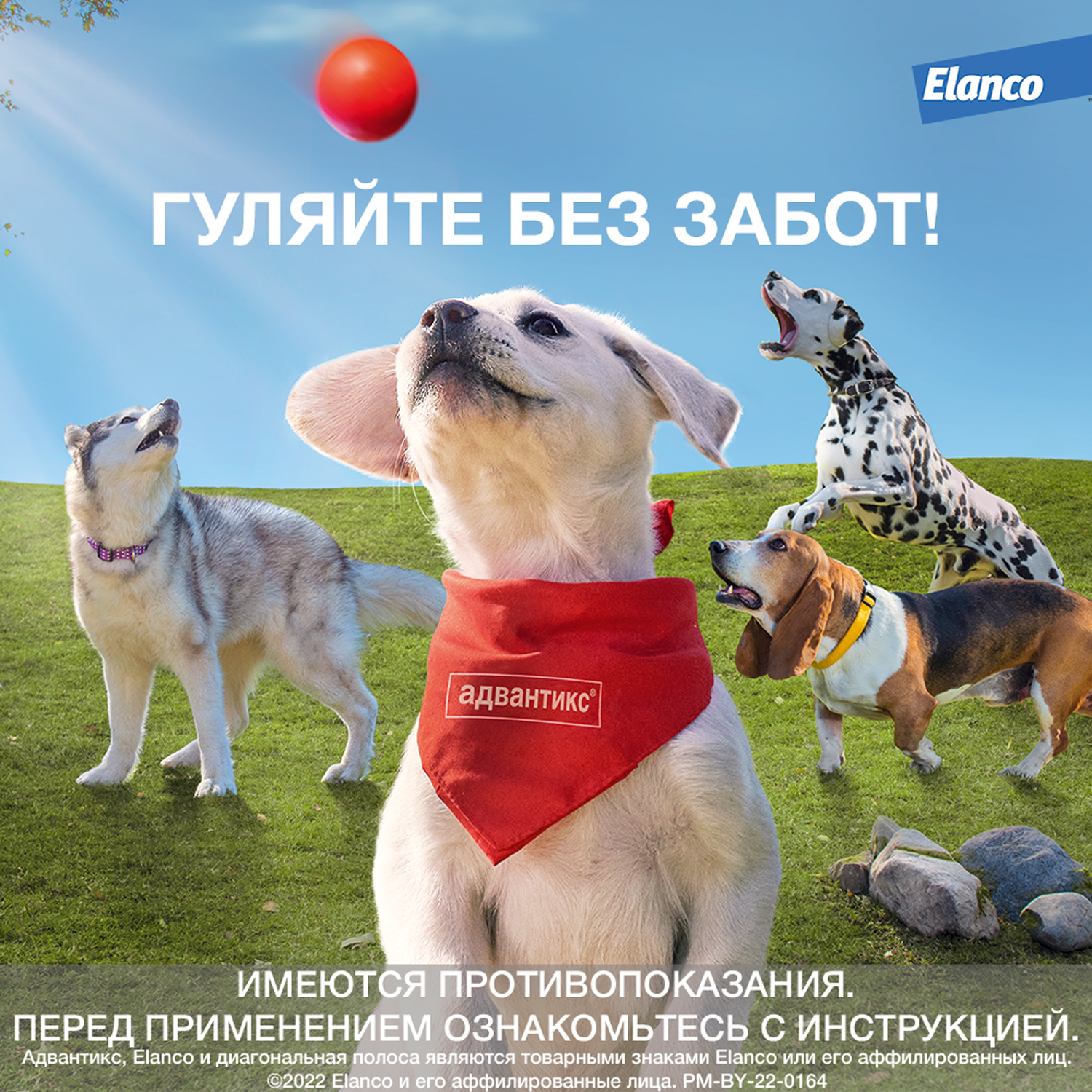 Капли для собак Elanco Адвантикс от 25 до 40 кг против блох и клещей 1пипетка - фото 10