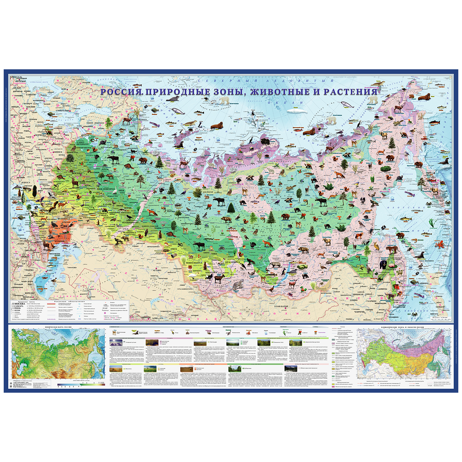 Карта настенная Атлас Принт Россия. Природные зоны животные и растения 1.43х1.02 м - фото 2