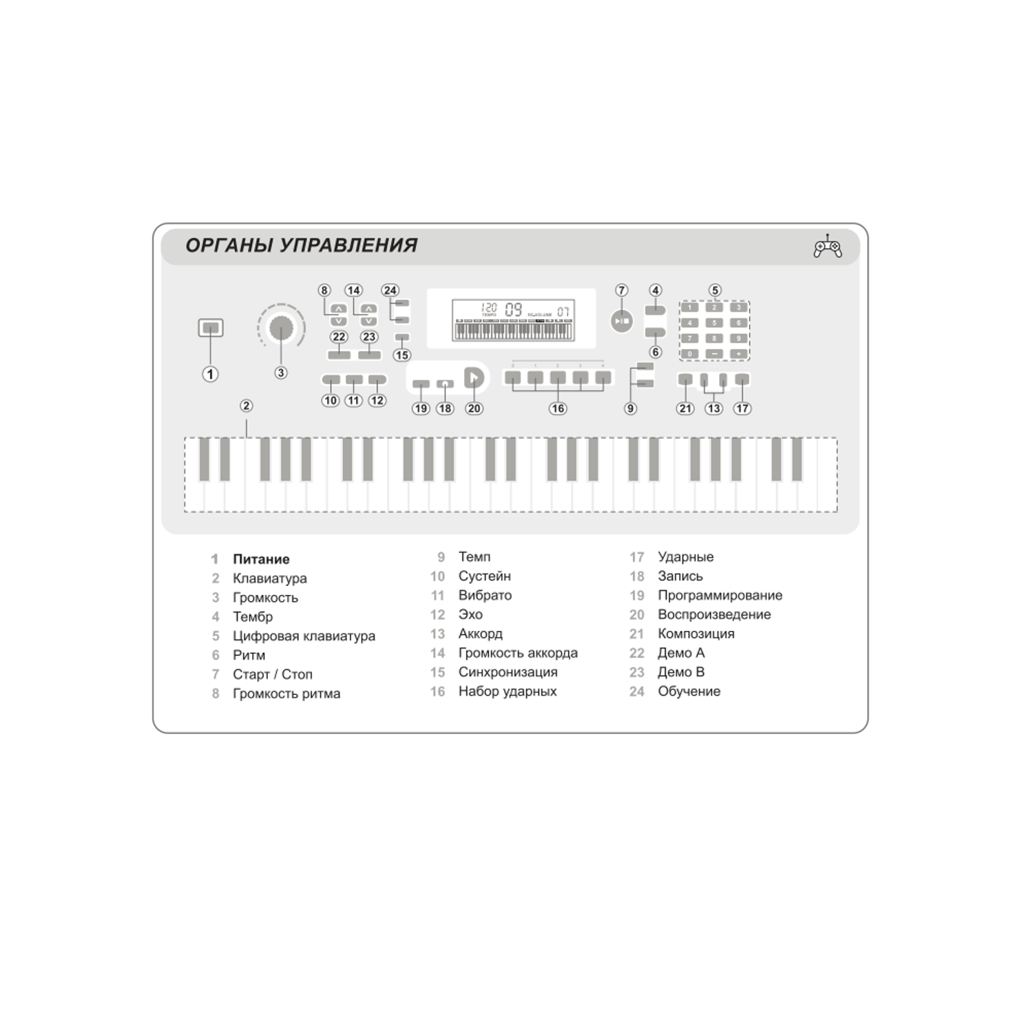 Синтезатор ON Music Basic54TR-SL - фото 6