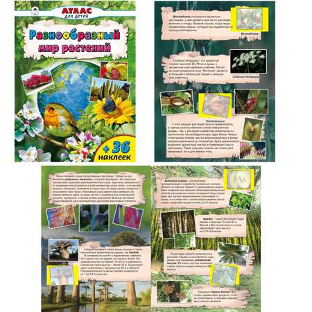 Набор книг Алтей Животный и растительный мир. Комплект цветных Атласов с наклейками