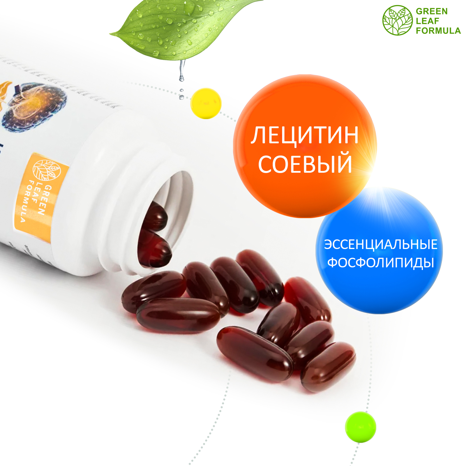 Набор Витамины для мозга Green Leaf Formula триптофан лецитин соевый для  нервной системы фосфолипиды 2 банки купить по цене 1240 ₽ в  интернет-магазине Детский мир