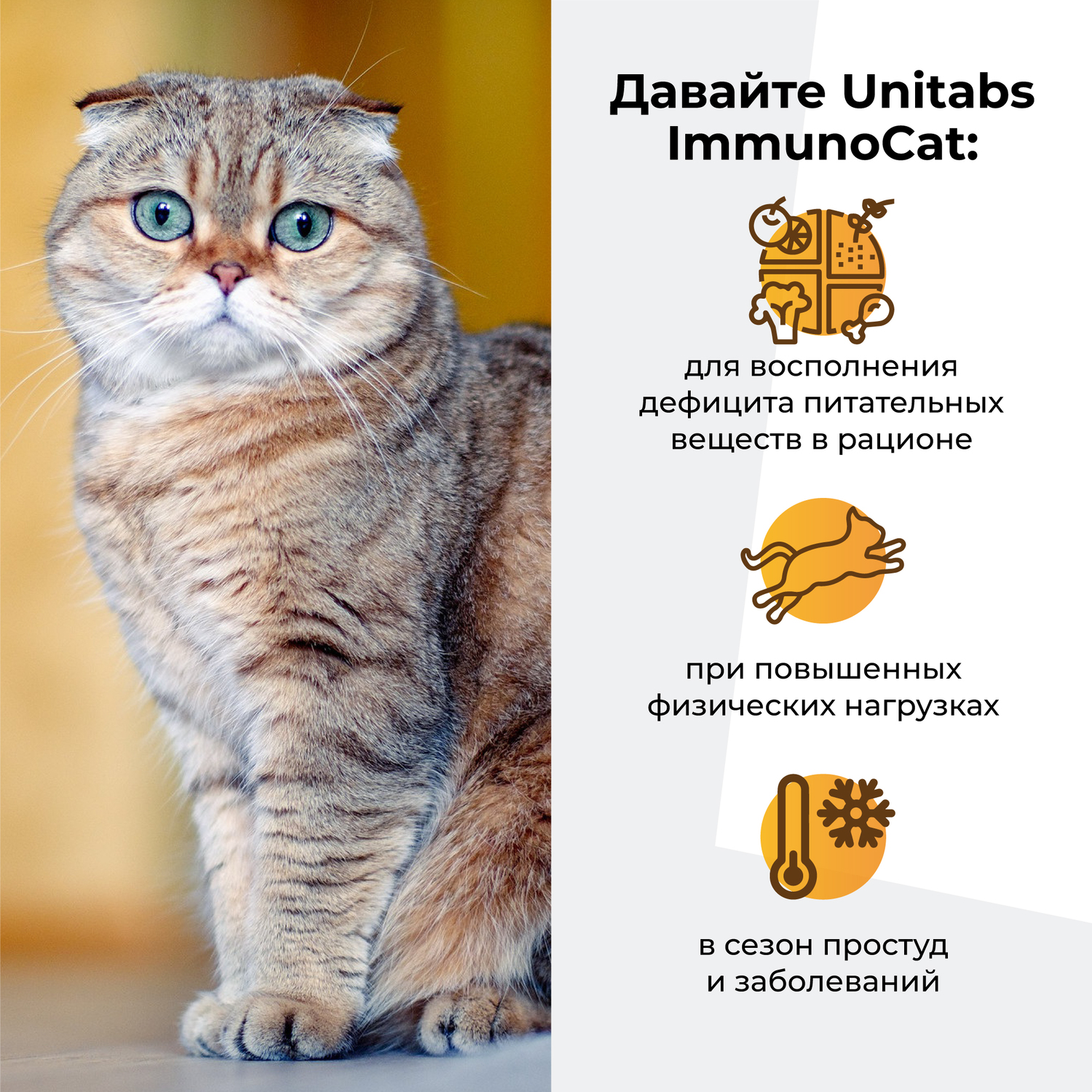 Витамины для кошек Unitabs Immuno Cat с Q10 паста 120мл - фото 4