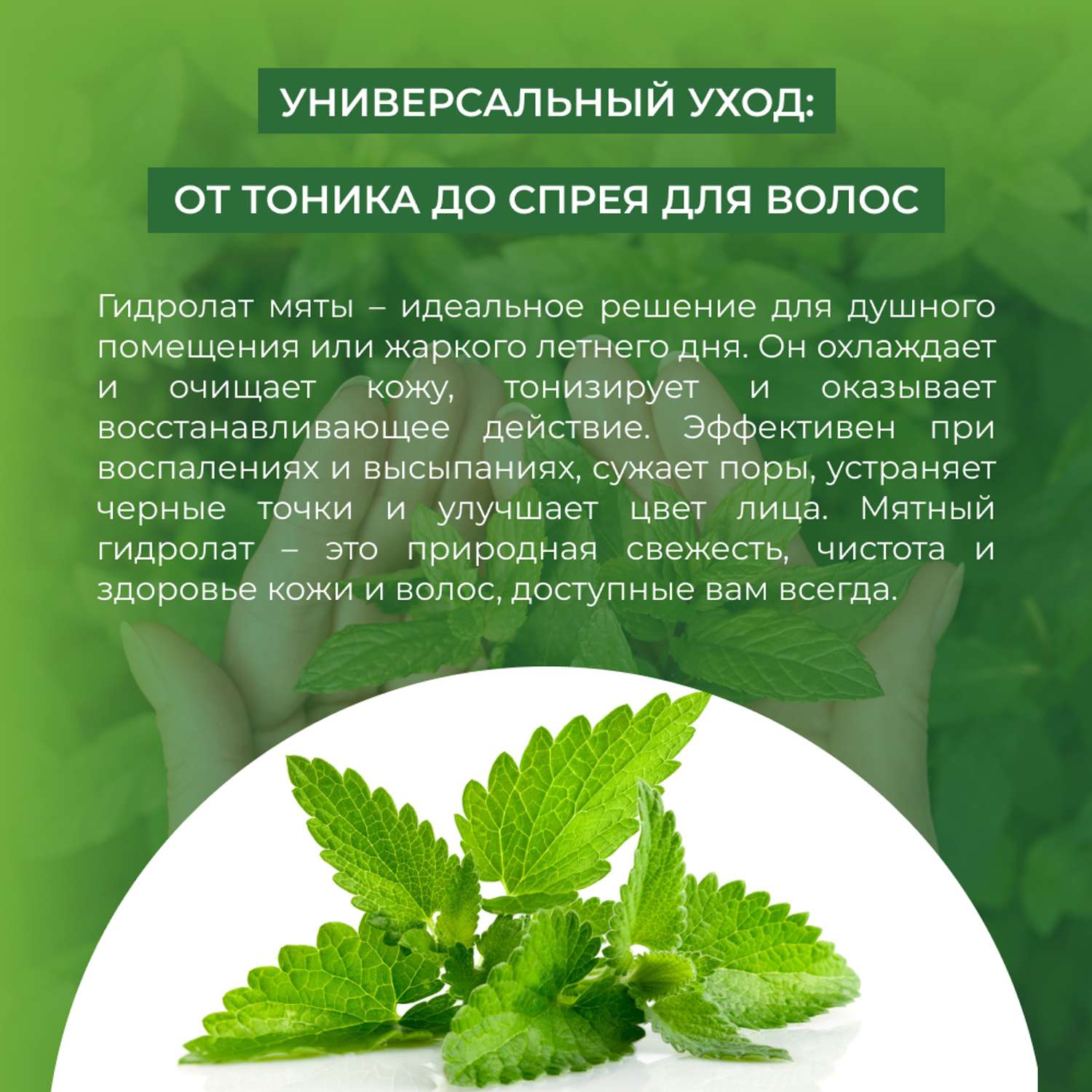 Гидролат Siberina натуральный «Мяты» омолаживающий и антиоксидантный эффект 50 мл - фото 5