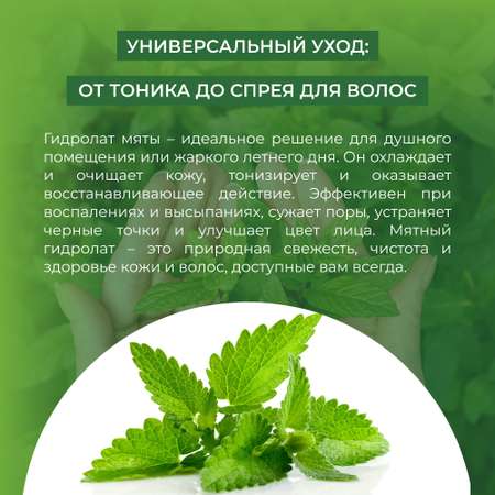 Гидролат Siberina натуральный «Мяты» омолаживающий и антиоксидантный эффект 50 мл