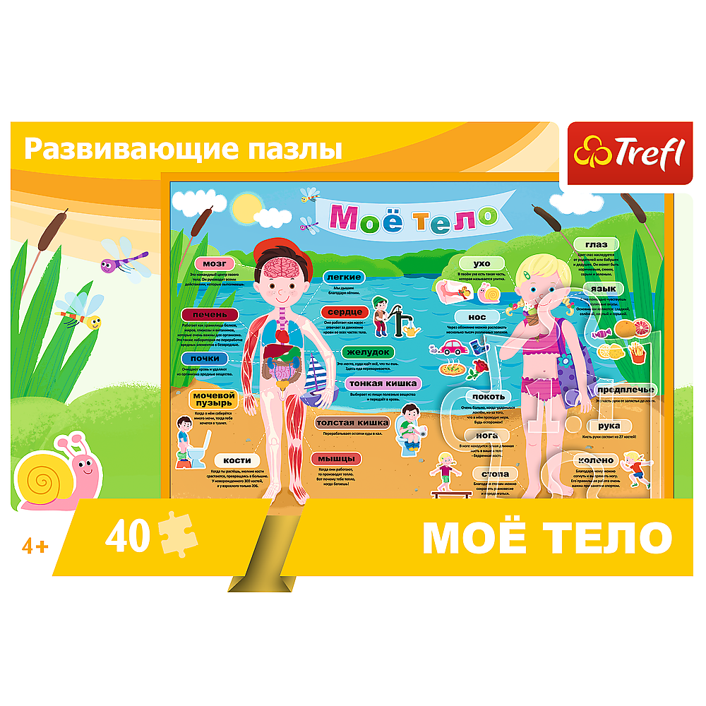 Пазл Trefl Моё тело - фото 3