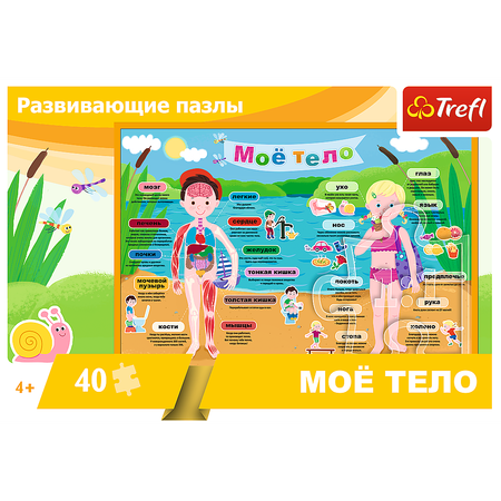 Пазл Trefl Моё тело