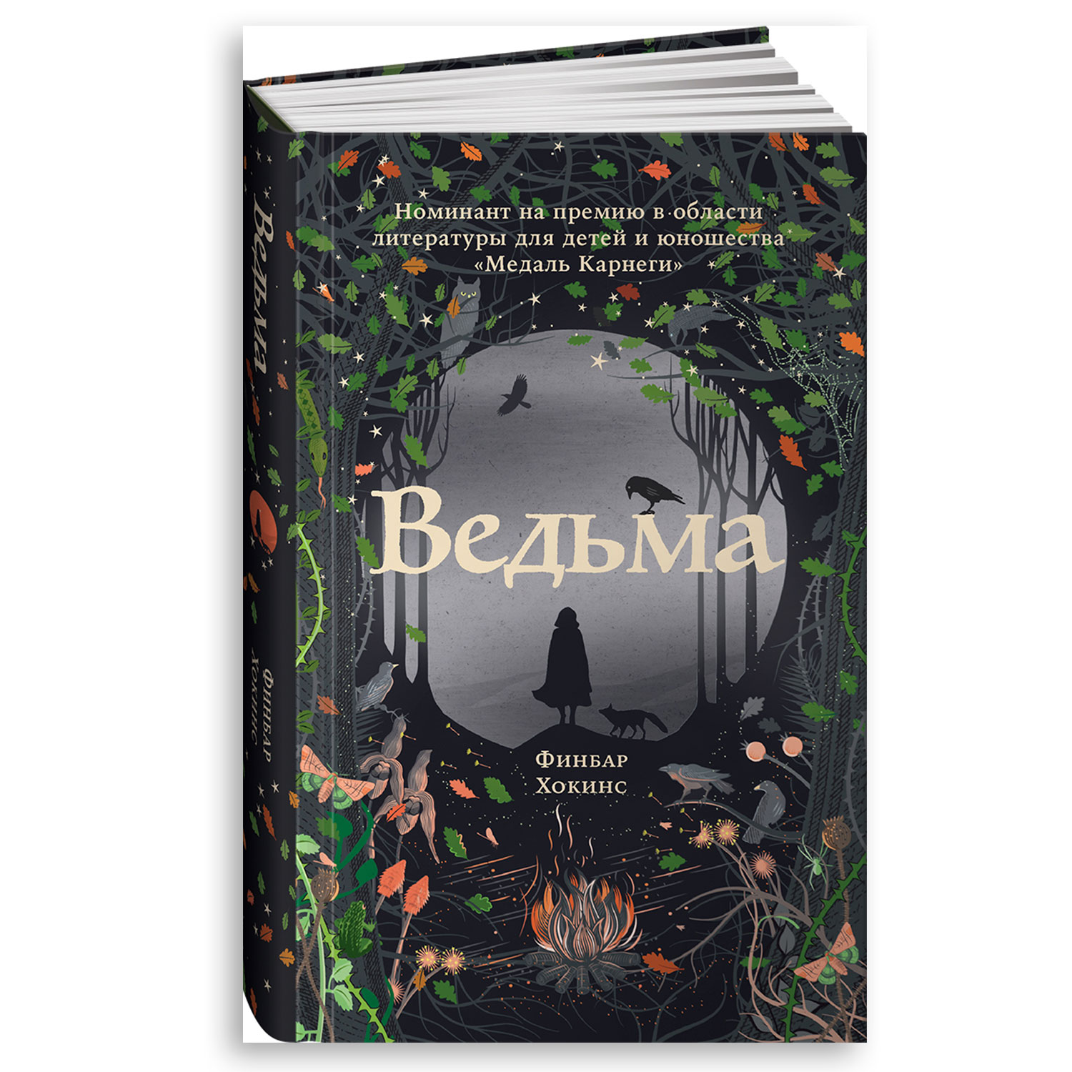 Книга Альпина. Дети Ведьма Книги для девочек Фэнтези Магия купить по цене  550 ₽ в интернет-магазине Детский мир