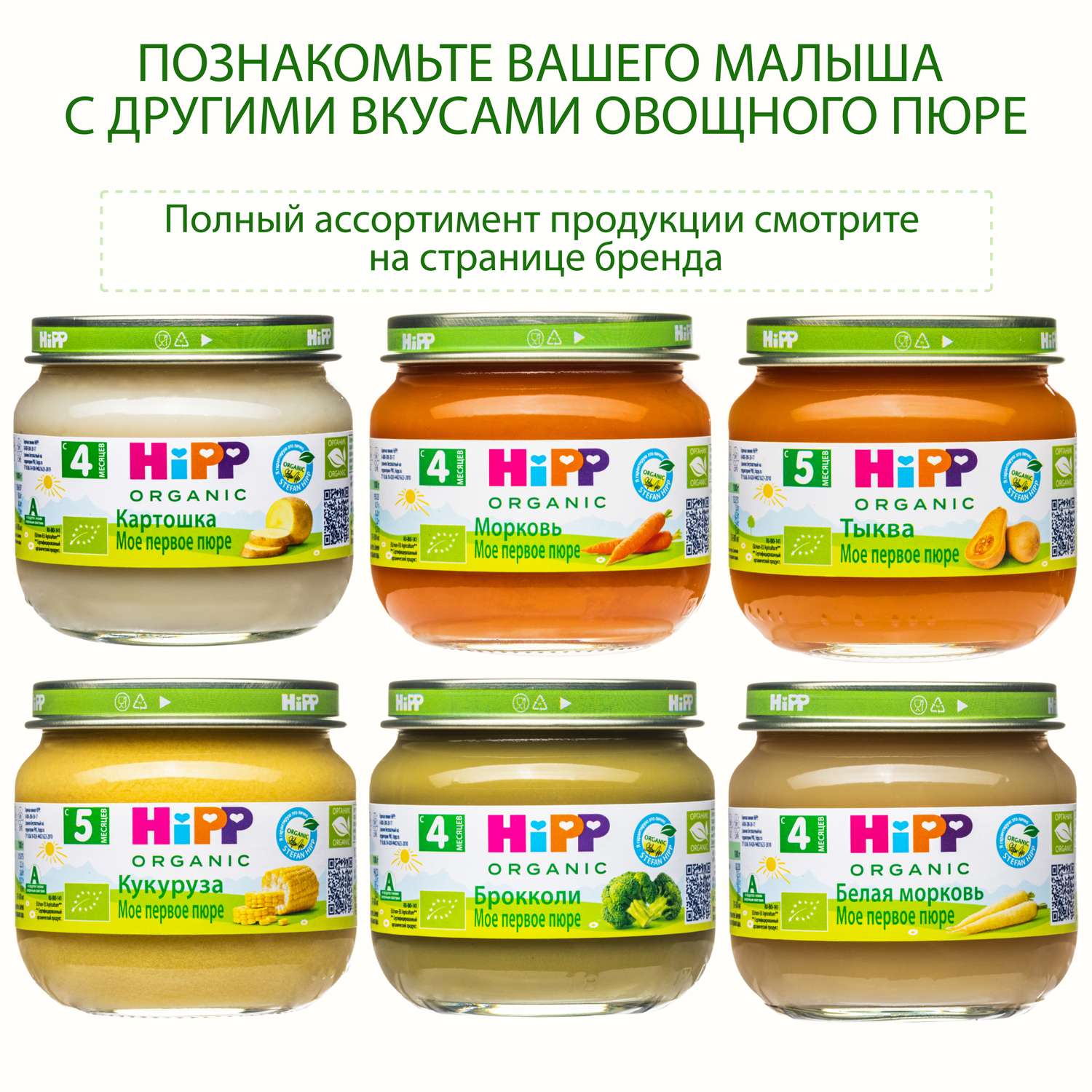 Пюре Hipp цветная капуста 80г с 4месяцев - фото 6