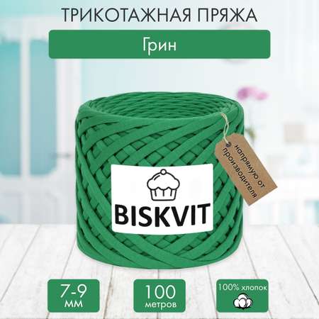 Трикотажная пряжа BISKVIT Грин