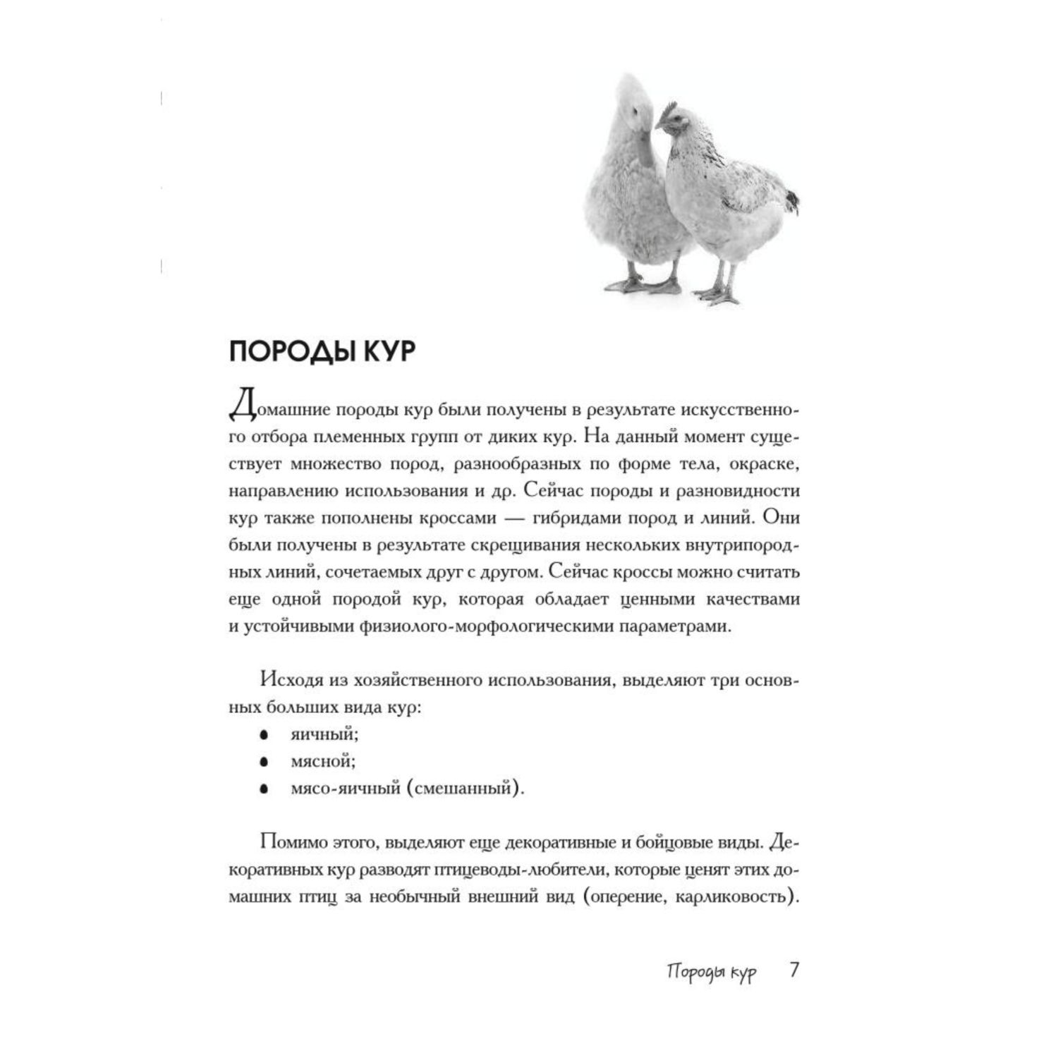 Книга ЭКСМО-ПРЕСС Птицеводство без ошибок Куры утки индюшки гуси цесарки и  перепела для начинающих купить по цене 212 ₽ в интернет-магазине Детский мир