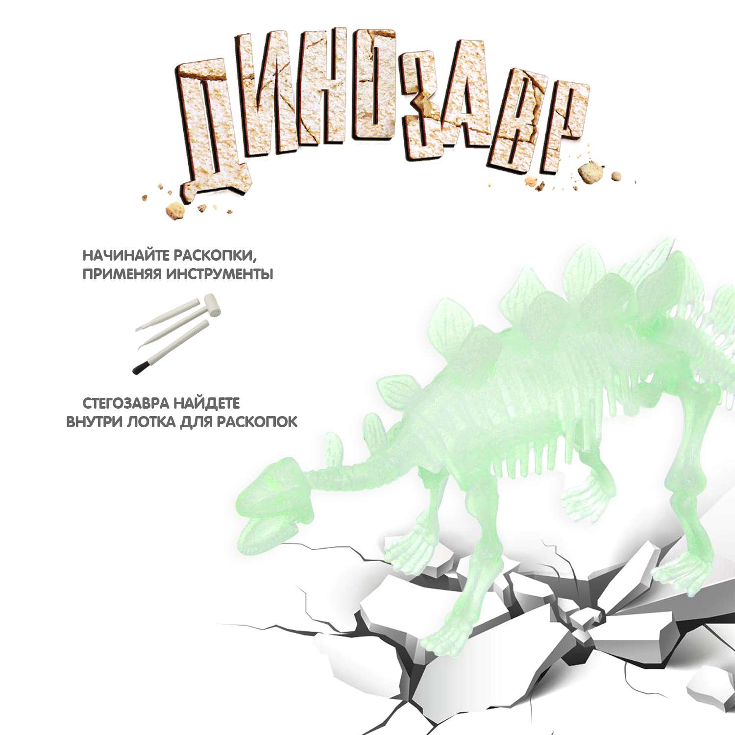 Исторические раскопки BONDIBON набор юного археолога Стегозавр светящийся в темноте - фото 6
