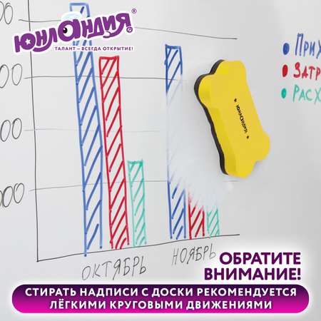 Стиратель маркера Юнландия магнитный для магнитно-маркерной доски Косточка 3 штуки