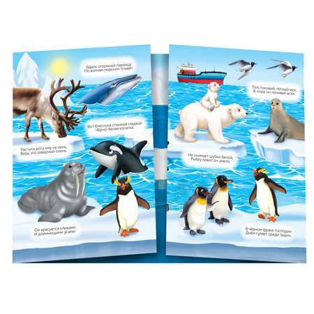 Набор книг Буква-ленд Изучаем животных Буква-ленд