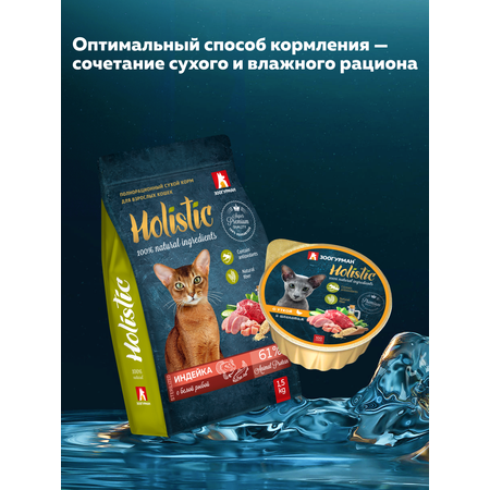 Корм влажный Зоогурман Holistic С уткой и шпинатом, 100 г х 20 шт.