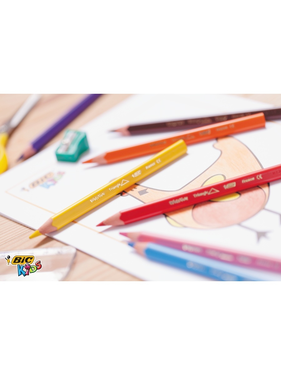 Карандаши цветные BIC Kids Evolution Triangle ECOlutions 12 цветов - фото 2