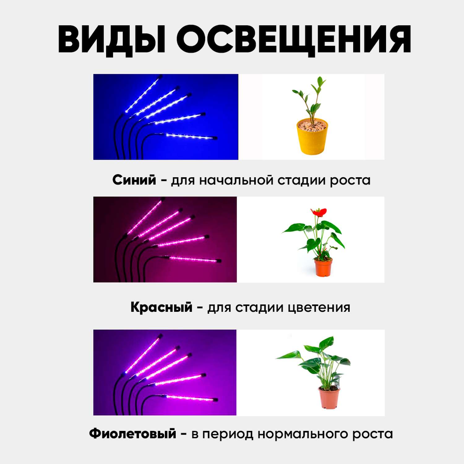 Фитолампы для растений oqqi на штативе 5 ламп - фото 3