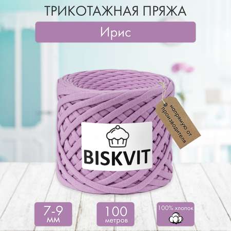 Трикотажная пряжа BISKVIT Ирис