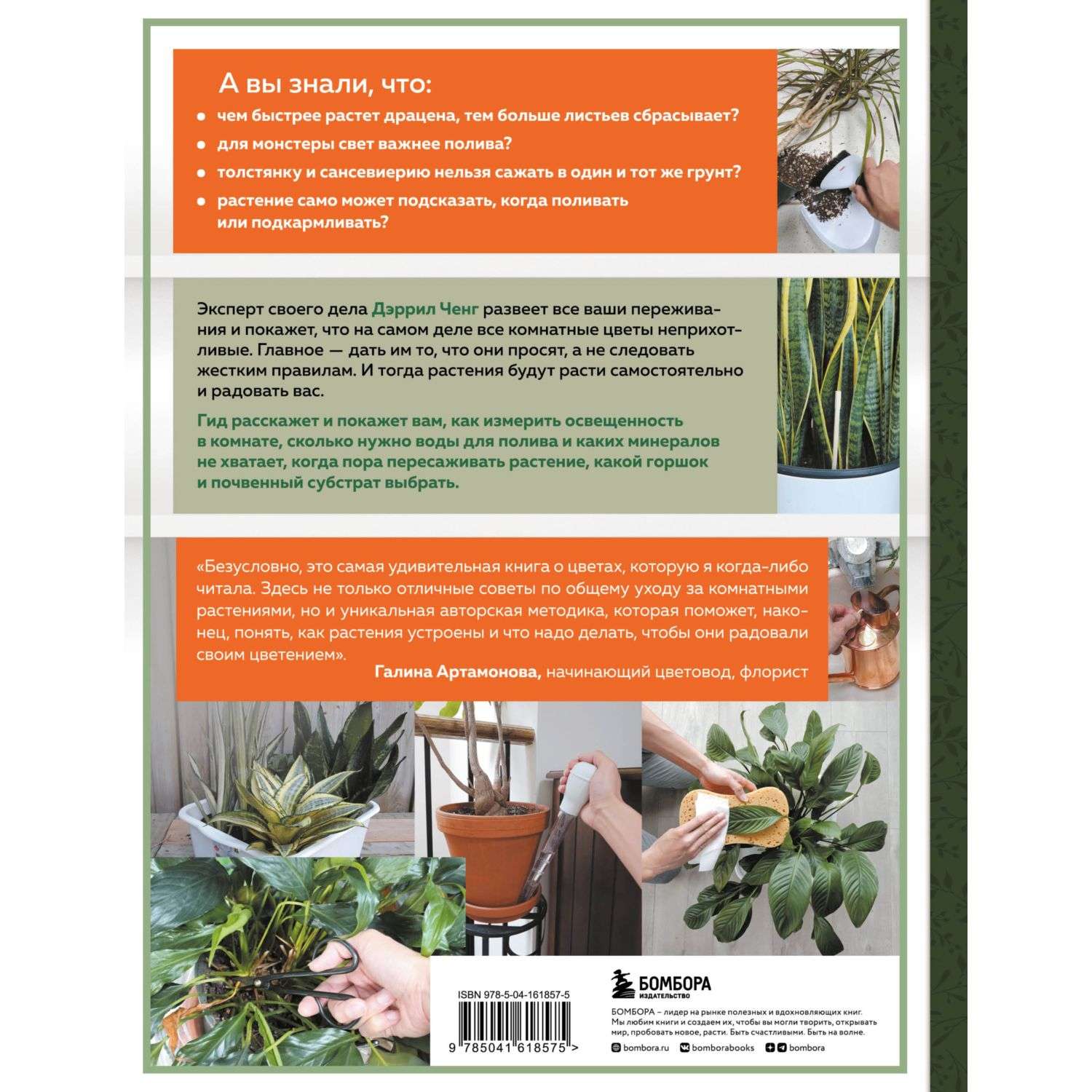 Книга БОМБОРА Зеленый дом Самое понятное руководство по уходу за комнатными растениями - фото 10