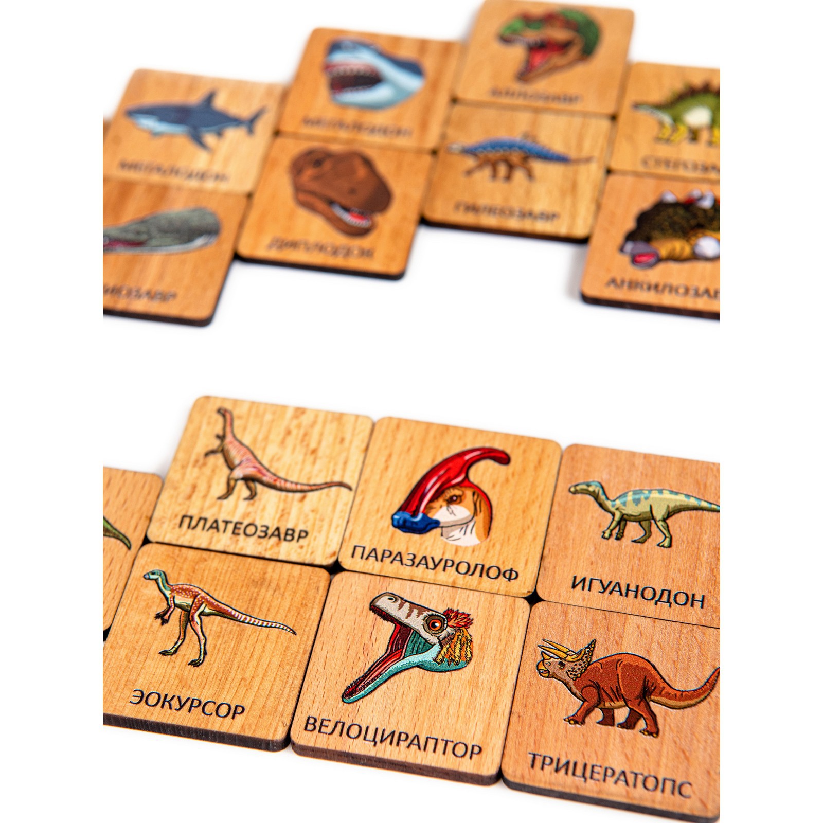 Мемори Sima-Land «Динозавры» в картонной коробочке - фото 7