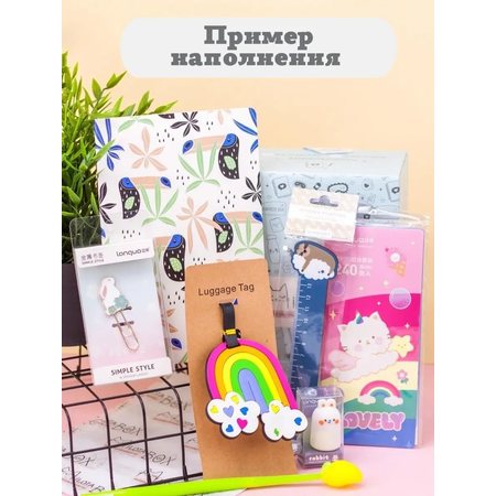 Подарочный бокс для девочки iLikeGift Milota Box mini школа