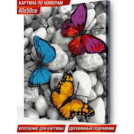 Картина по номерам Hobby Paint холст на деревянном подрамнике 40х50 см Бабочки