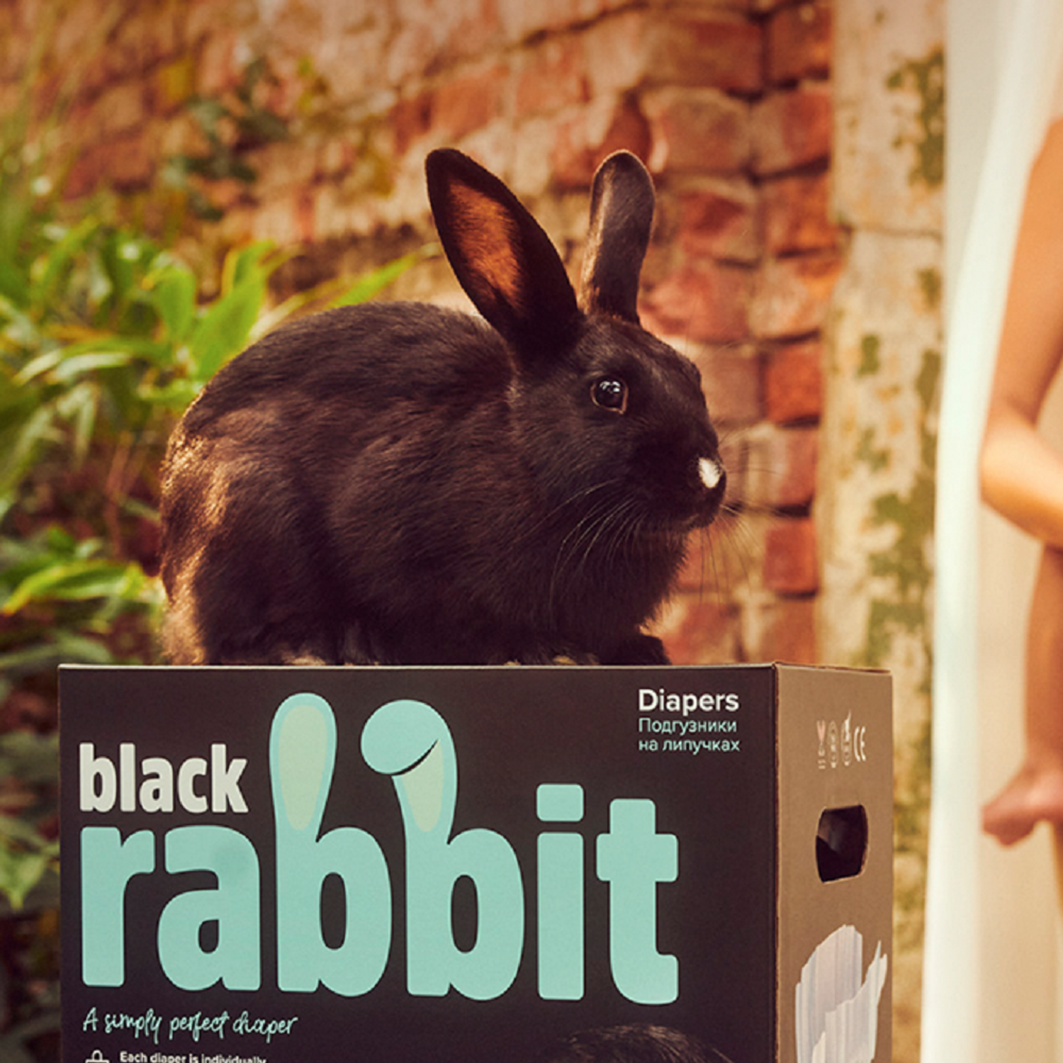 Трусики-подгузники Black Rabbit 12-22 кг XL 32 шт - фото 5