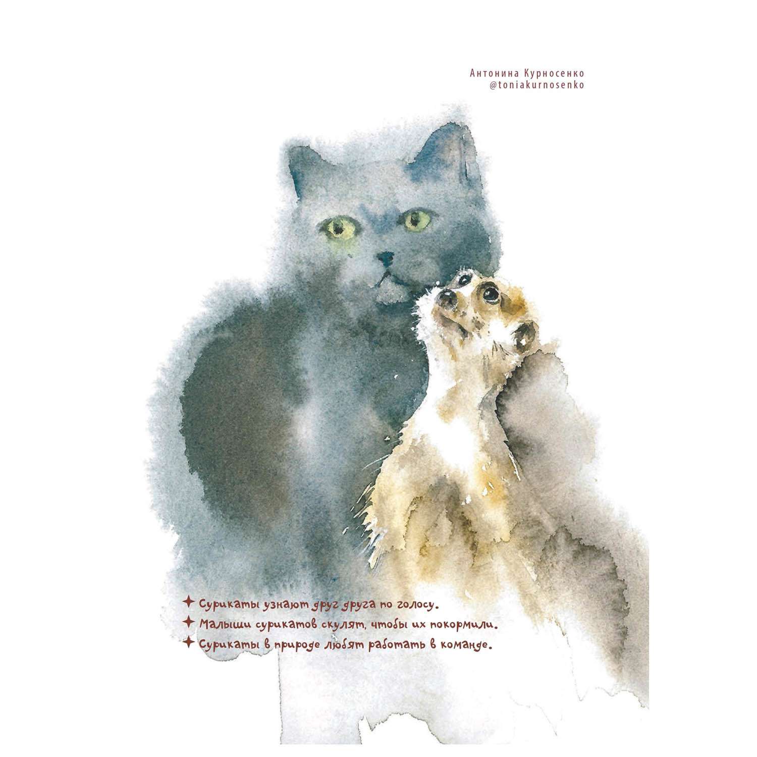 Книга ПИТЕР Друг за друга Книга о дружбе животных и людей - фото 6