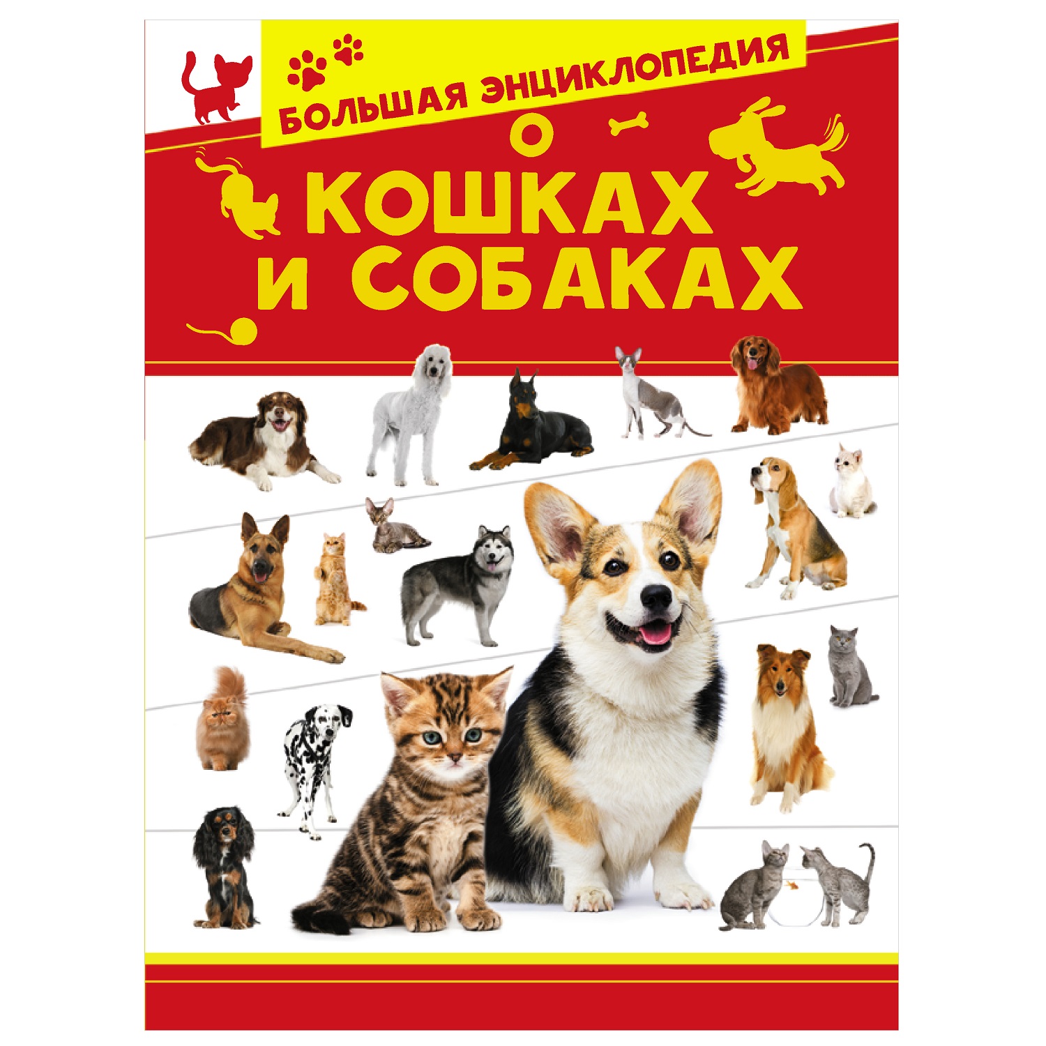 Книга АСТ Большая энциклопедия о кошках и собаках - фото 1