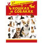 Книга АСТ Большая энциклопедия о кошках и собаках